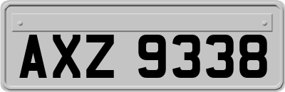 AXZ9338