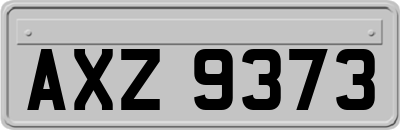 AXZ9373