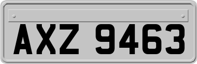 AXZ9463