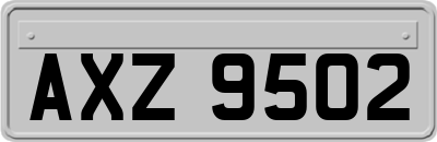 AXZ9502