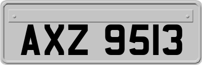 AXZ9513