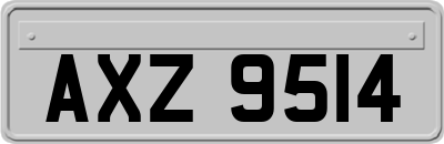 AXZ9514