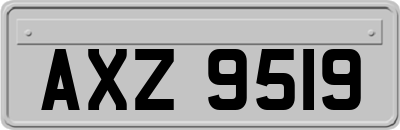 AXZ9519