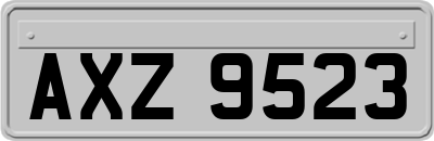 AXZ9523