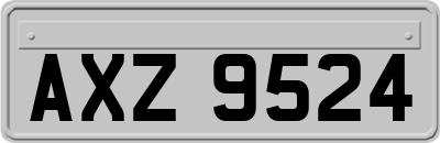 AXZ9524