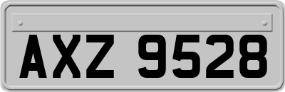AXZ9528