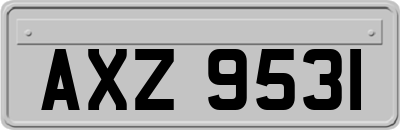 AXZ9531