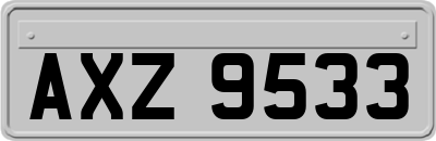 AXZ9533