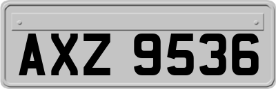 AXZ9536
