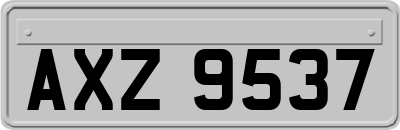 AXZ9537