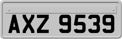 AXZ9539