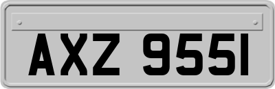 AXZ9551