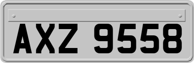 AXZ9558
