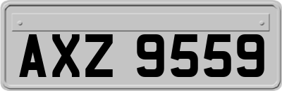 AXZ9559