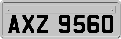 AXZ9560