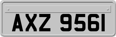 AXZ9561