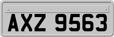 AXZ9563