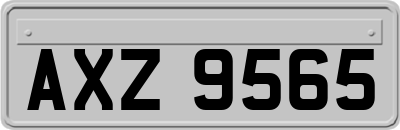 AXZ9565
