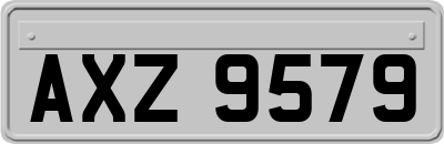 AXZ9579