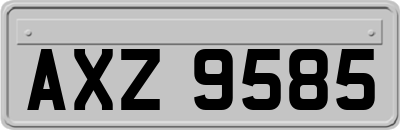 AXZ9585
