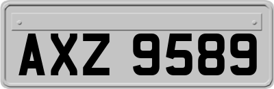 AXZ9589