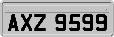 AXZ9599