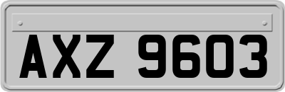 AXZ9603