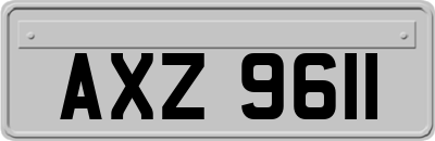 AXZ9611