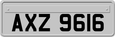 AXZ9616