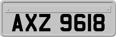 AXZ9618