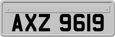 AXZ9619