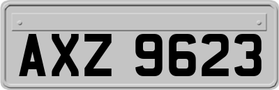 AXZ9623