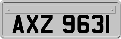 AXZ9631