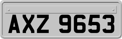 AXZ9653
