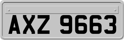 AXZ9663