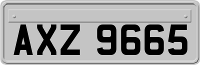 AXZ9665