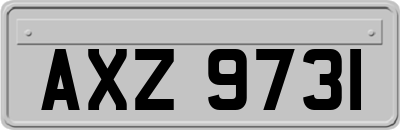 AXZ9731