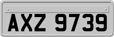 AXZ9739