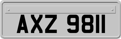 AXZ9811
