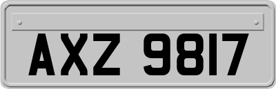 AXZ9817