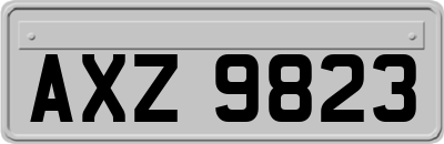 AXZ9823