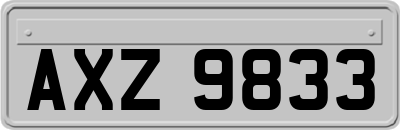 AXZ9833