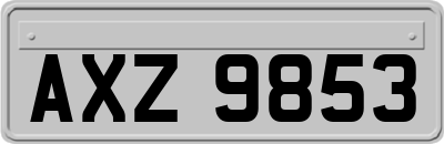 AXZ9853