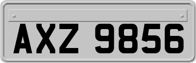 AXZ9856