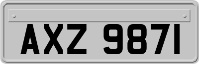 AXZ9871