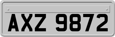 AXZ9872