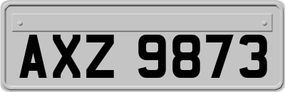 AXZ9873