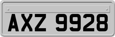 AXZ9928