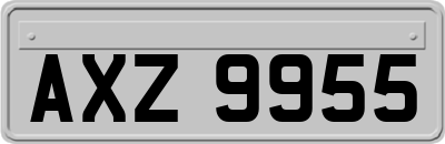 AXZ9955