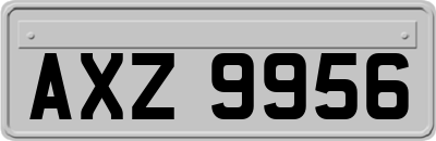 AXZ9956